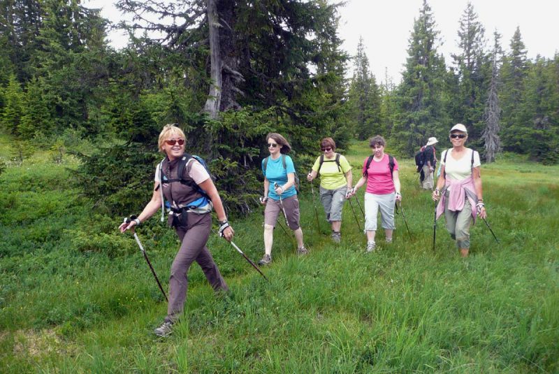 Initiation marche nordique