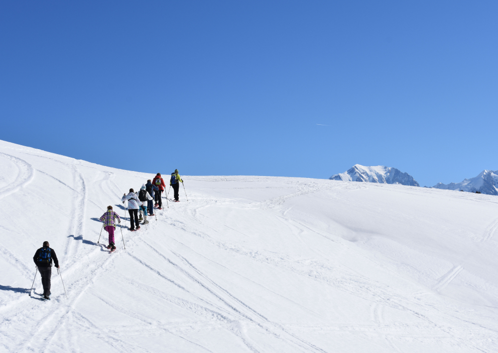 A pas feutrés en forêt avec  panorama sur le Mont-Blanc