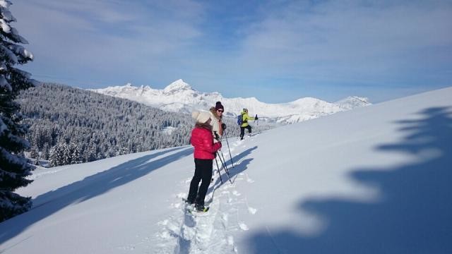 Immersion panoramique dans les alpages