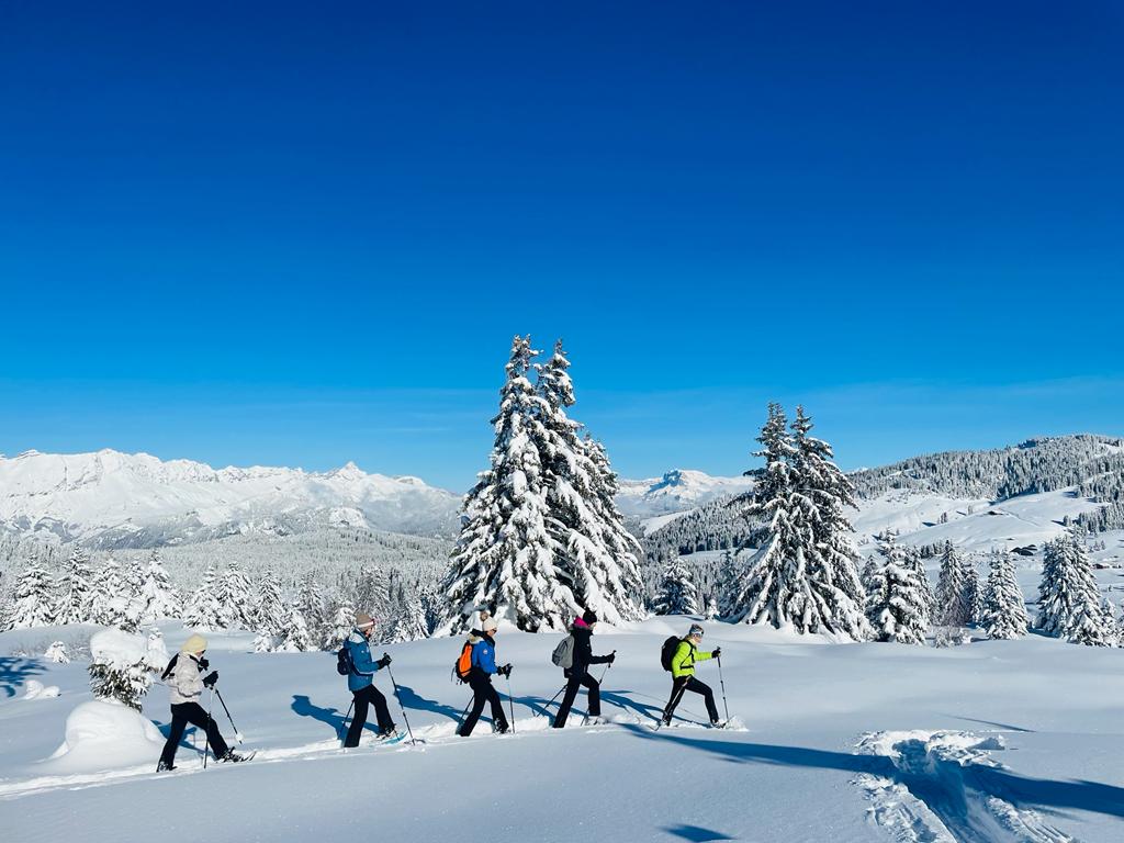 A pas feutrés en forêt avec  panorama sur le Mont-Blanc