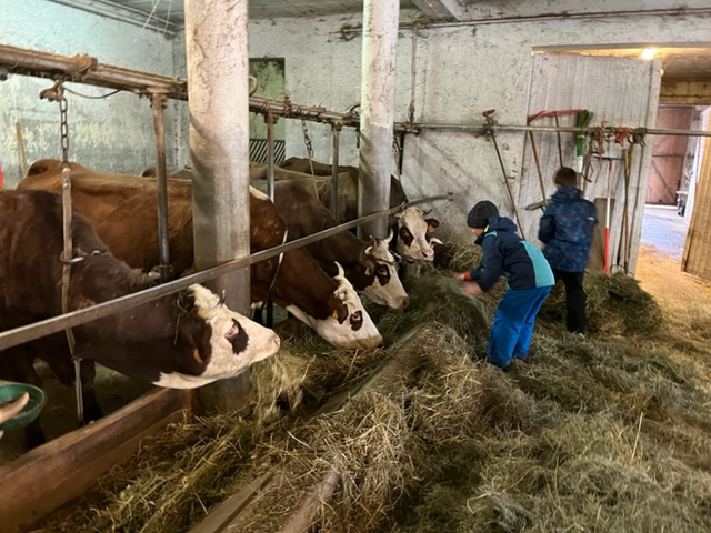 Rando à la ferme pour la traite des vaches, avec dégustation de produits du terroir