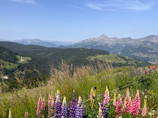 Randos été depuis ND Bellecombe